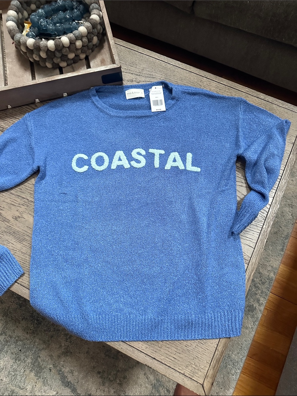 COASTAL Graphic Crewneck Sweater - Blue